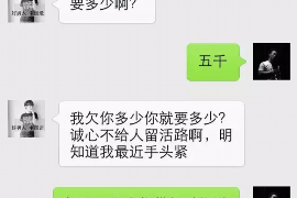 猇亭猇亭专业催债公司，专业催收